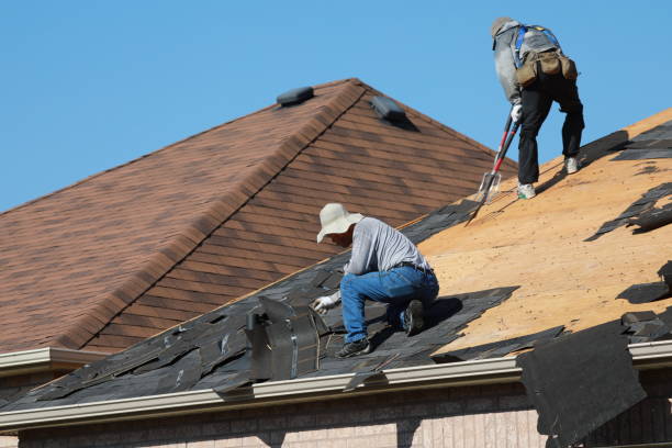 Best Metal Roofing Installation  in Fort Myers, FL